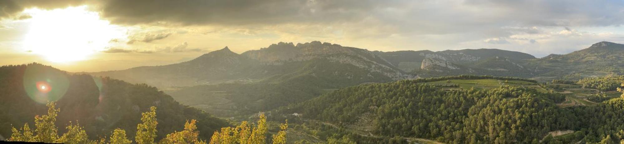 Le Chant Des Cigales LʼIsle-sur-la-Sorgue Dış mekan fotoğraf